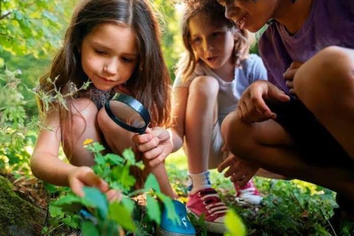 Crianças explorando a natureza com lupa